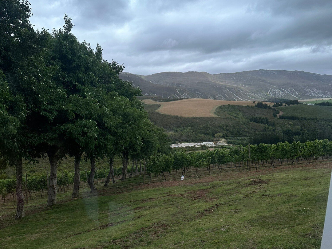 Ataraxia Wines-赫曼努斯必去景点