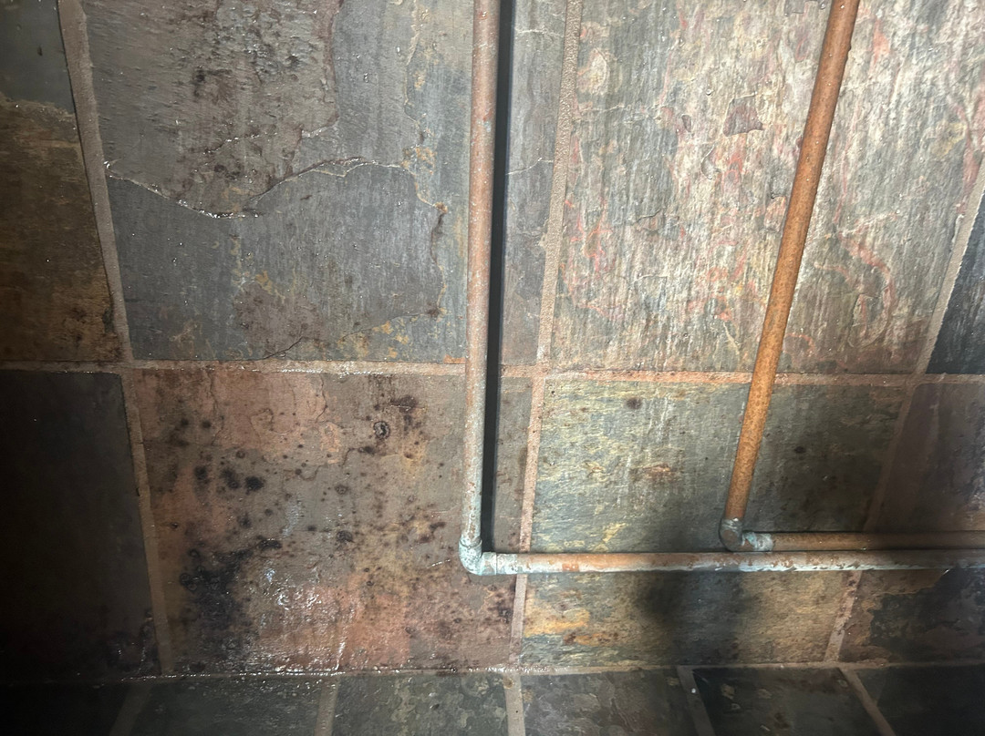 Elm Creek Manor主图