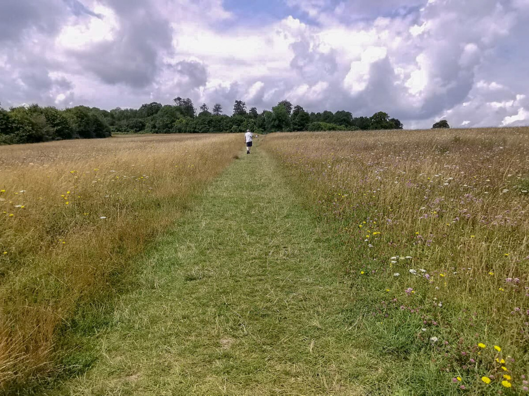 Lullingstone Country Park景点图片