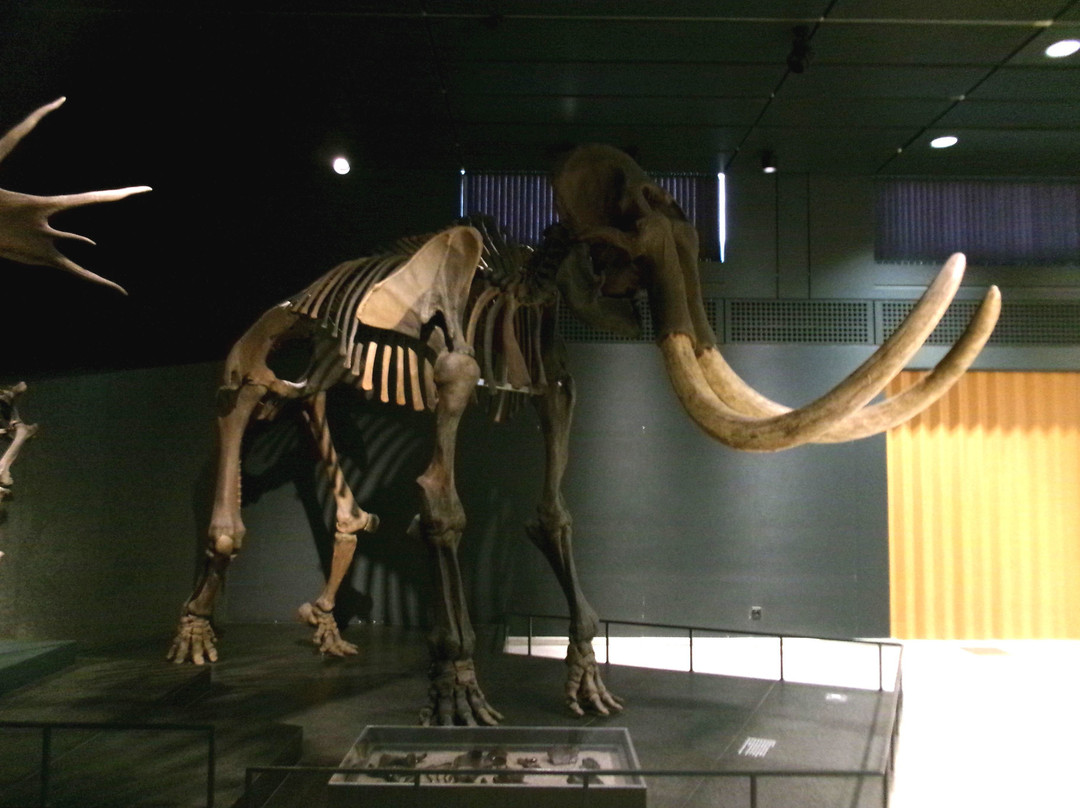 Zoologisches Museum der Universität Zürich-苏黎世必去景点