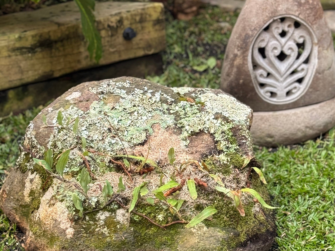 Maos do Mundo-卡内拉必去景点