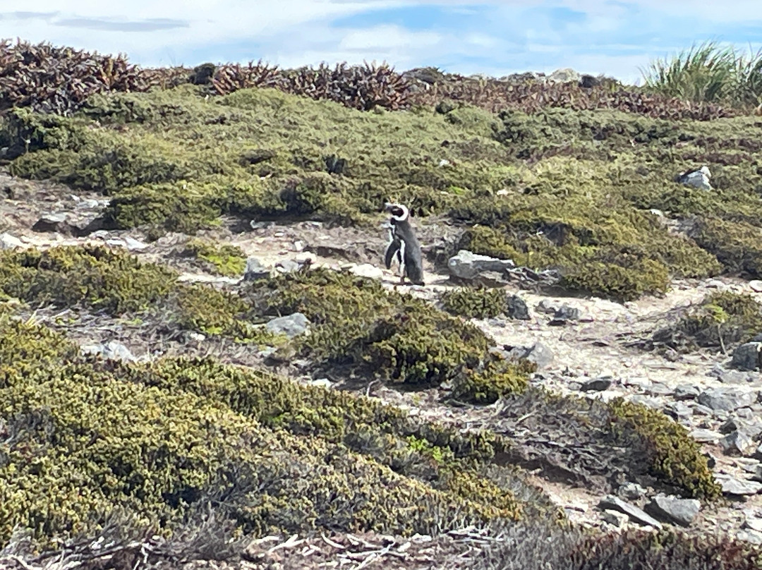 Gypsy Cove-Stanley必去景点