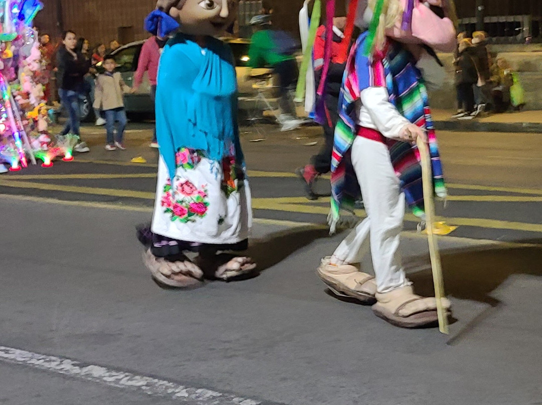 Catedral de Morelia-莫雷利亚必去景点