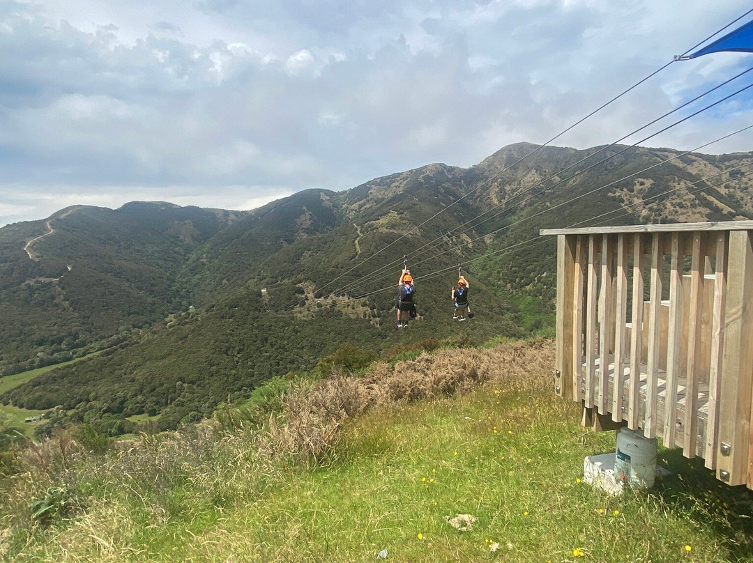 Eco Zip Line Kaikoura N.z.景点图片