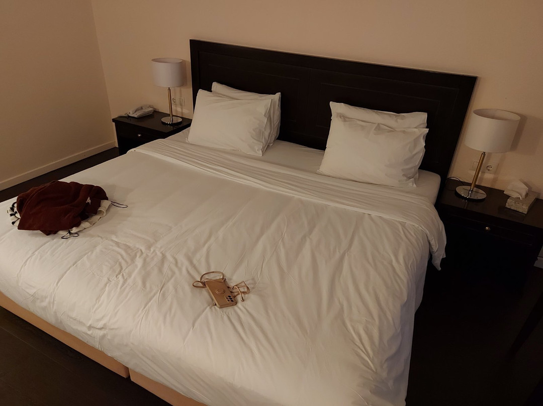 卡兰巴卡阿玛利亚酒店主图