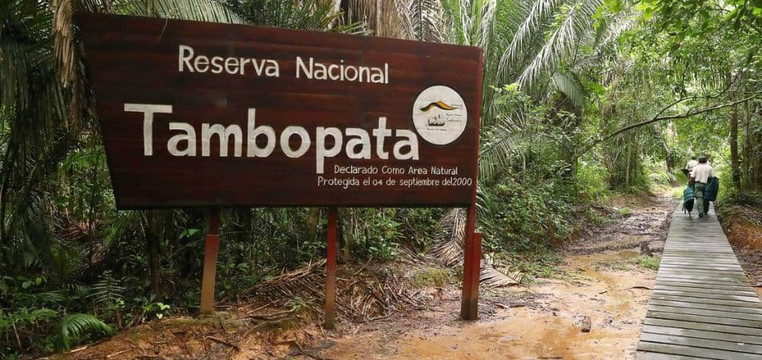 Tambopata Aguti Expedition-Tambopata National Reserve必去景点