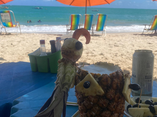 WC Receptivo-累西腓必去景点