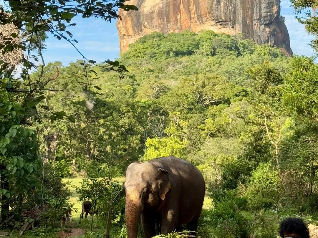 Weligama Cabs-瓦勒迦玛必去景点