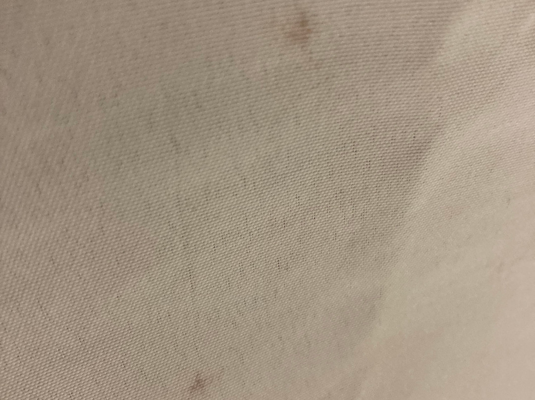 Best Western Inn & Suites - Lake Charles主图