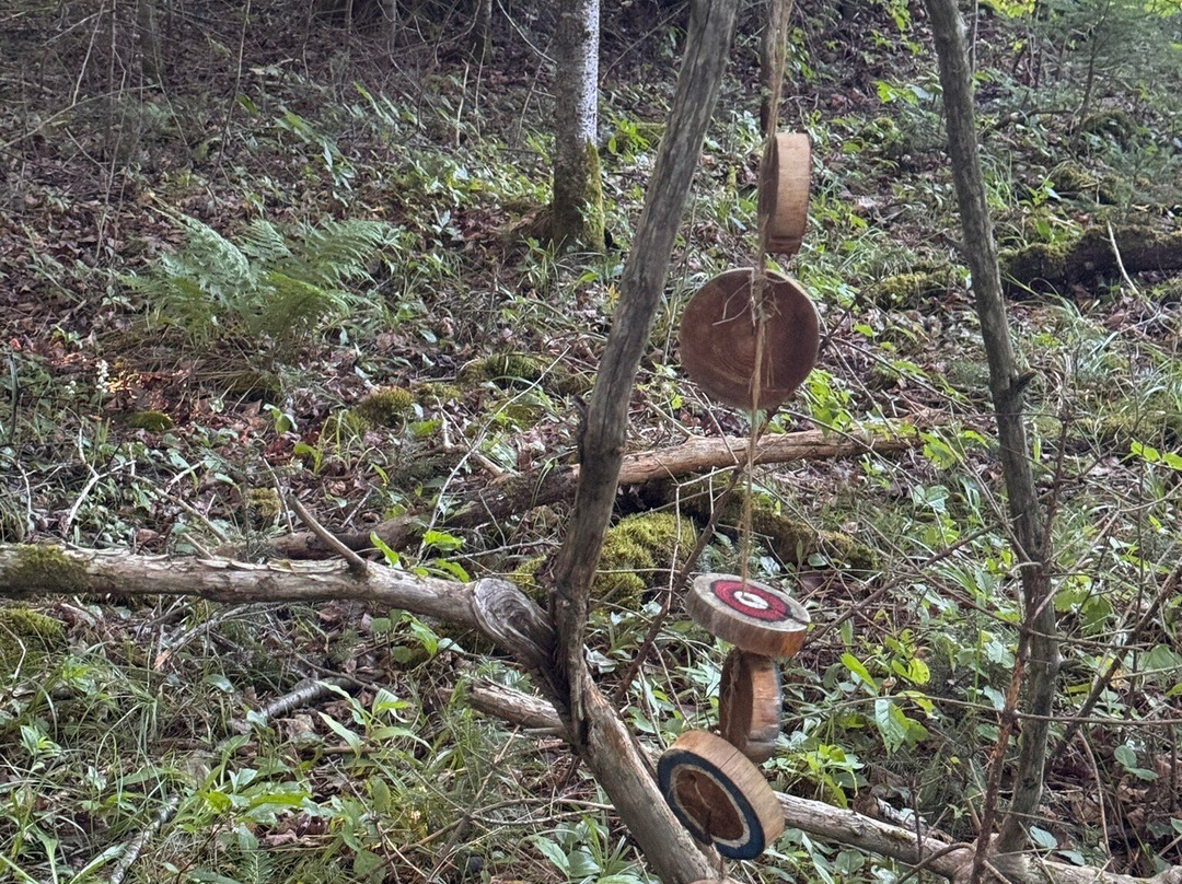 Hebergement aux Cinq Sens主图