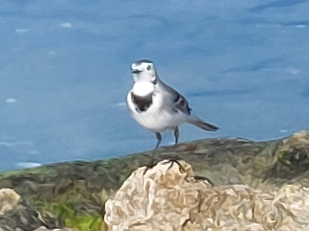Palmahim Beach National Park-Rishon Lezion必去景点