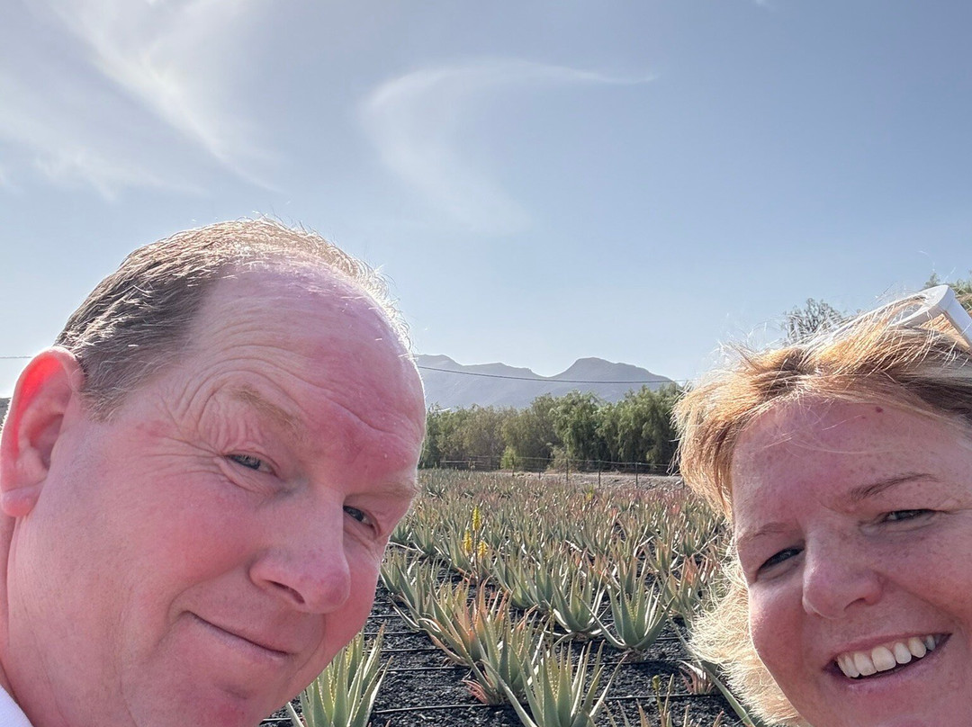 Finca Canarias Aloe Vera景点图片