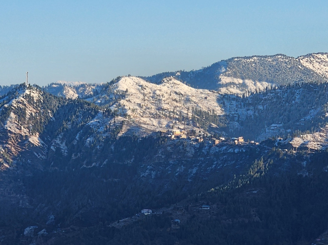 Taj Theog Resort & Spa主图