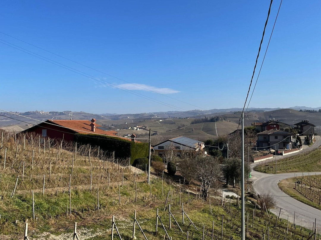 Azienda Agricola Curto Marco-拉莫拉必去景点