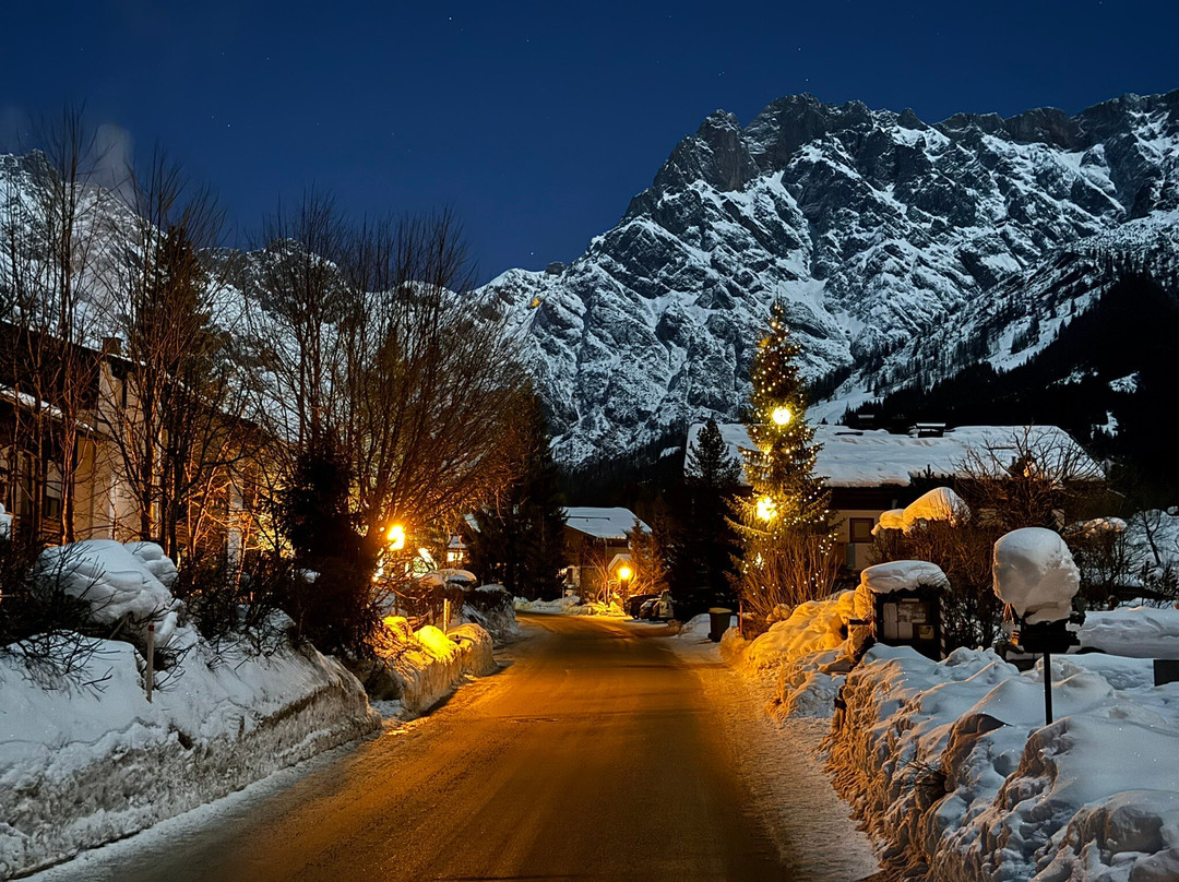 Marco Polo Alpina Familien & Sporthotel主图