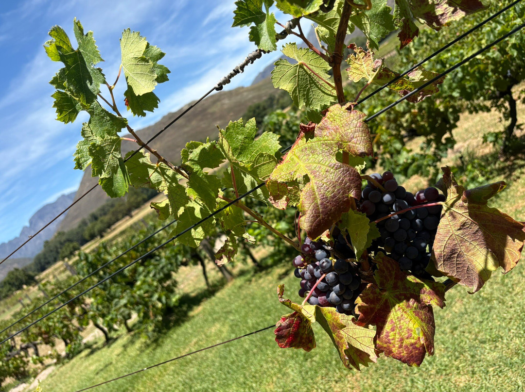 Eikehof-法兰舒克必去景点