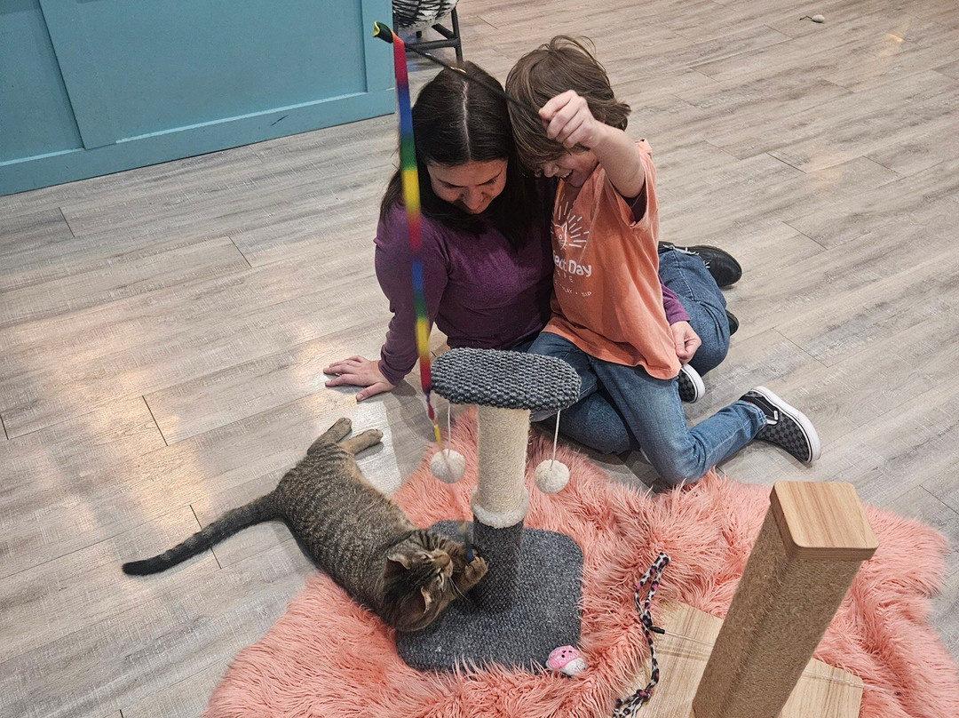 Purrfect Day Cafe Covington-卡温顿必去景点