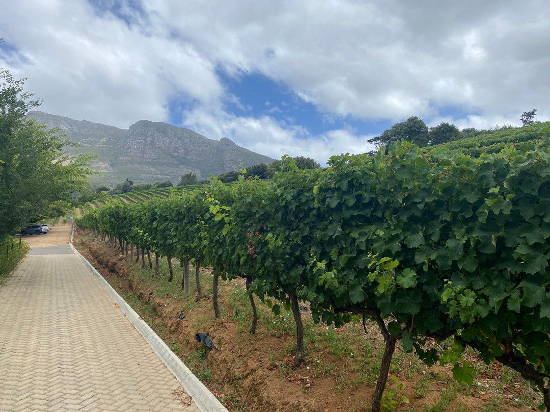 Buitenverwachting-康士坦提亚必去景点