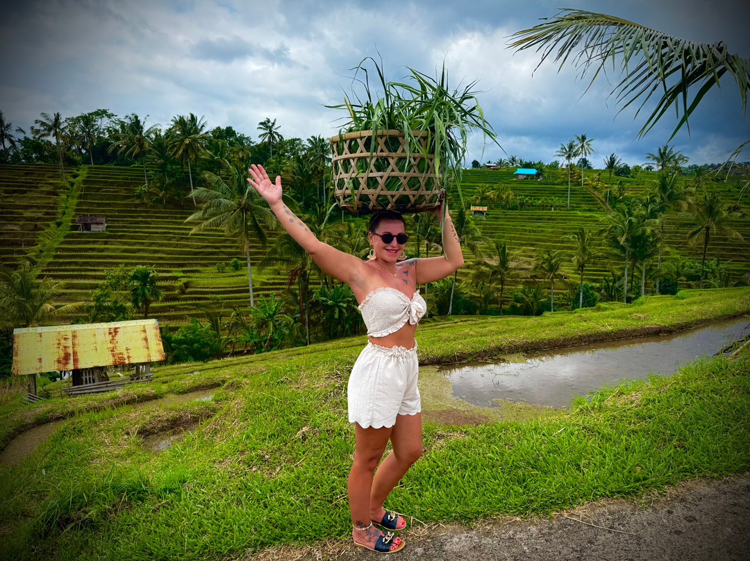 Bali Fahrer-沙努尔必去景点