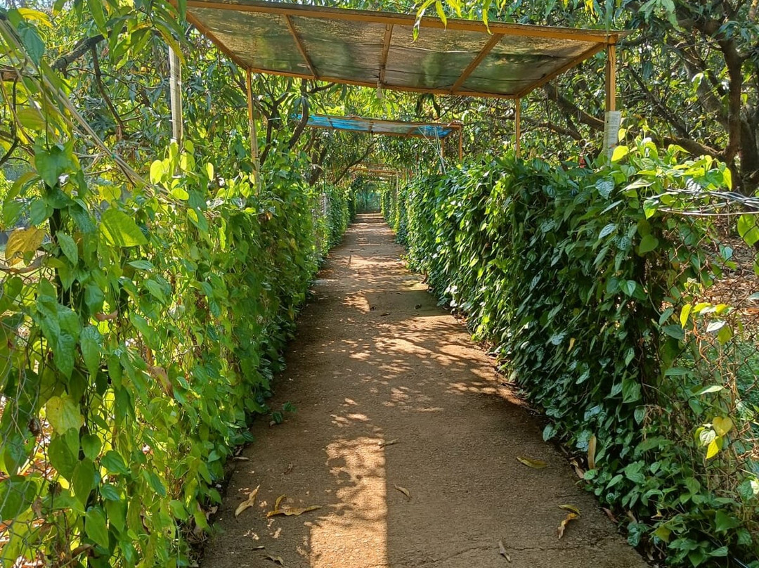 Dirghayu Farms Agri Resort Pvt. Ltd.主图