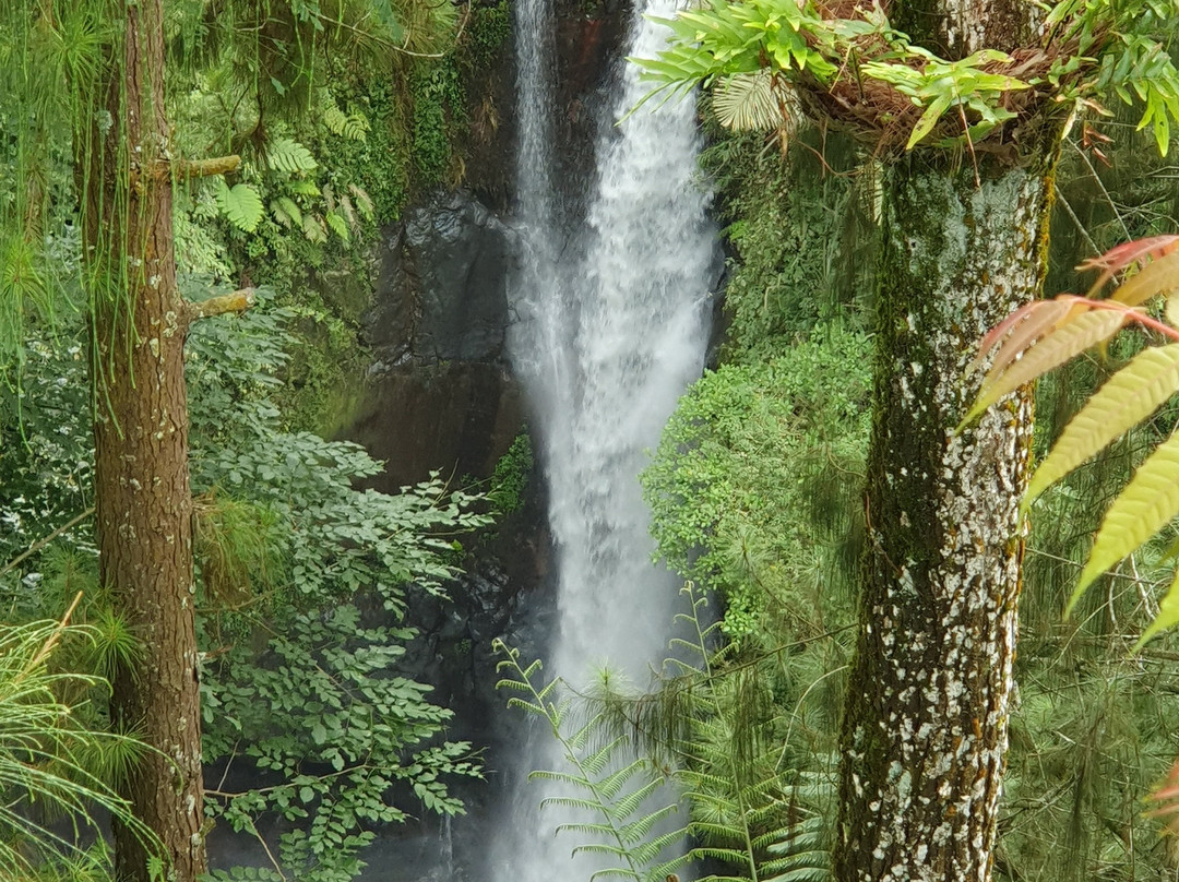 奥玛格林鹏宾馆主图