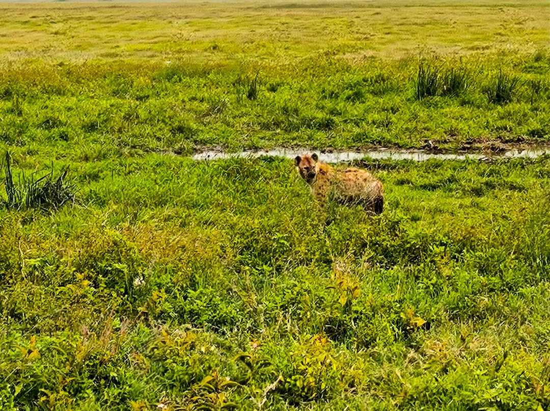 Emmy Safaris & Tours-Iringa必去景点