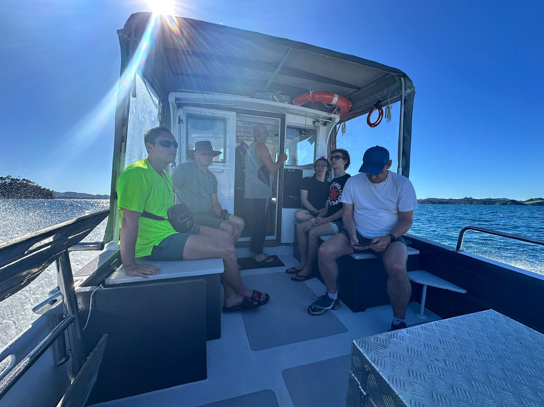 Bay of Islands Snorkelling Ltd景点图片
