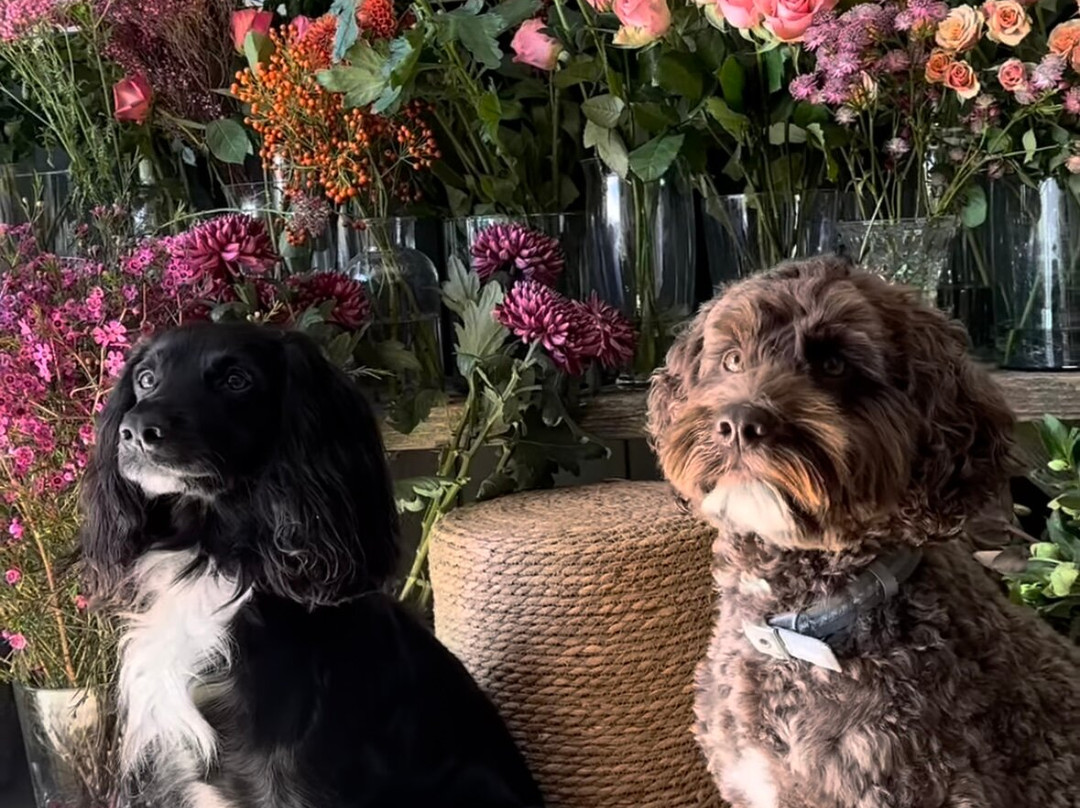 Ink And Earth Studio Florist Shop-切斯特菲尔德必去景点