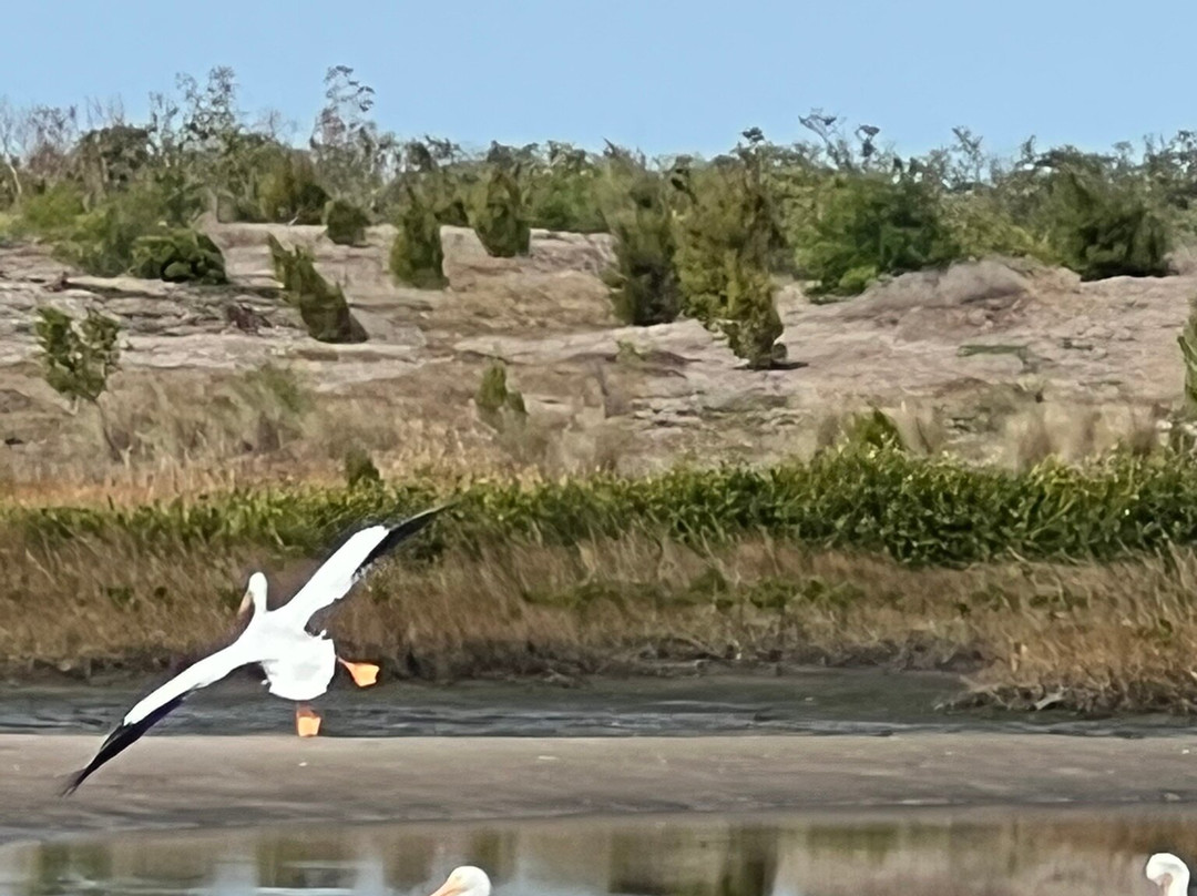 Robinson Nature Preserve-布雷登顿必去景点