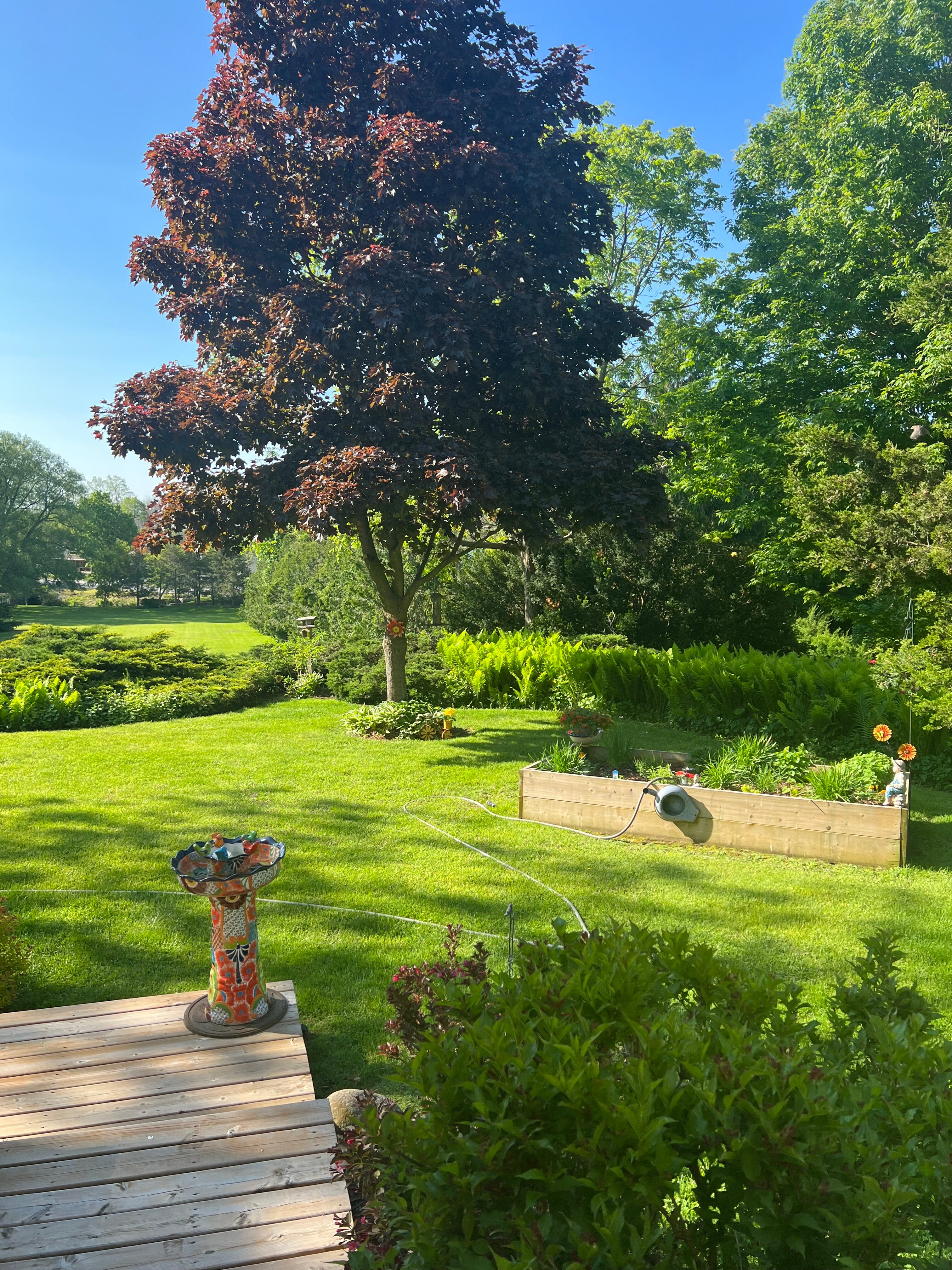 Sunrise Bed & Breakfast-浴室