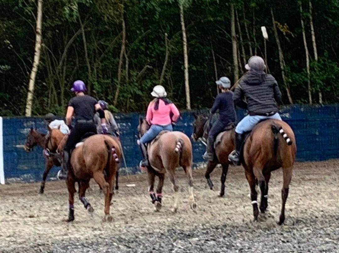 Minninnooka Polo & Riding School景点图片