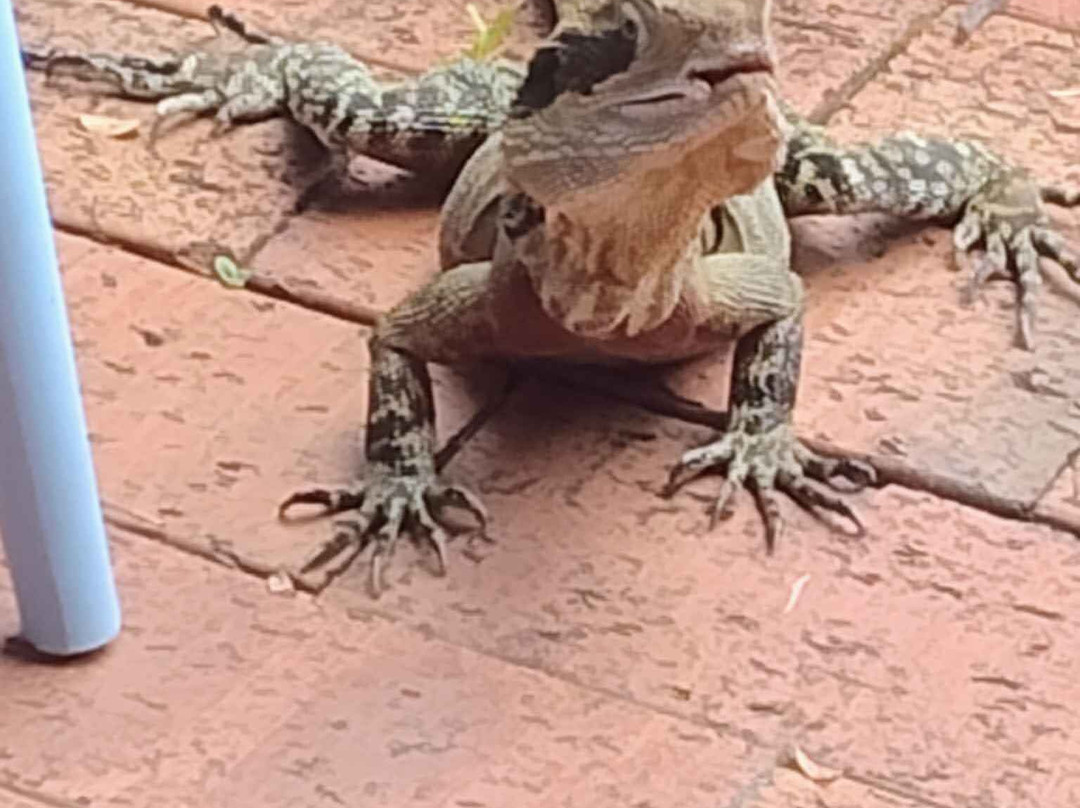 阿曲亚吉汽车旅馆主图