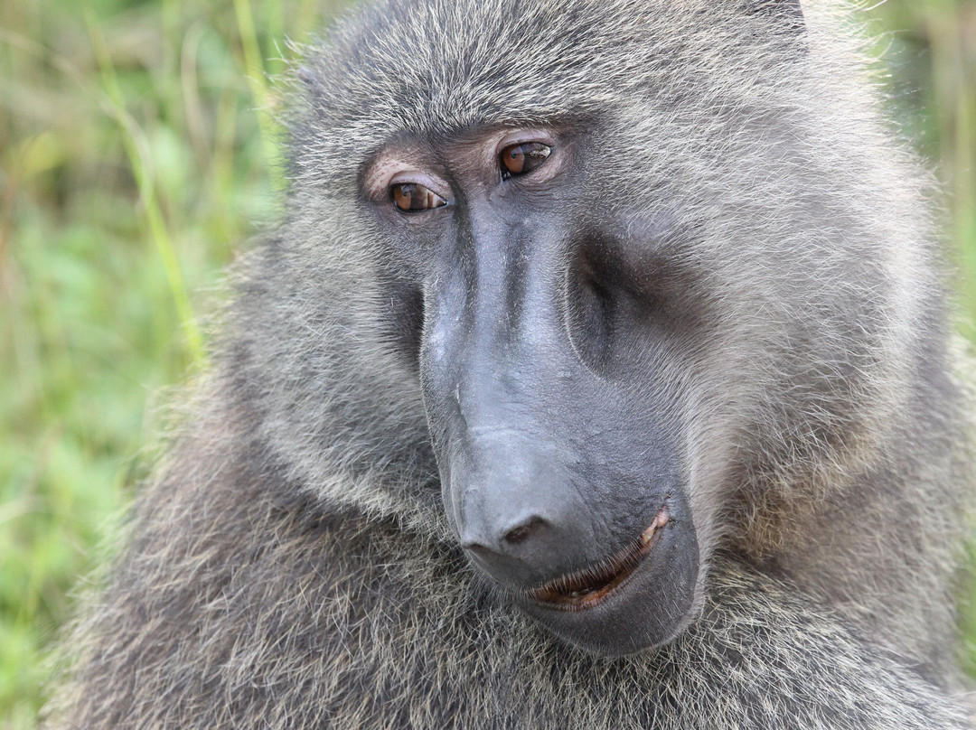 Katsam Adventures-吉佳利必去景点