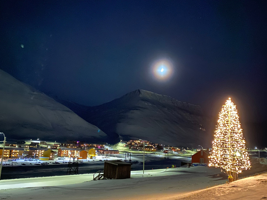 Svalbard Buss og Taxi-朗伊尔城必去景点
