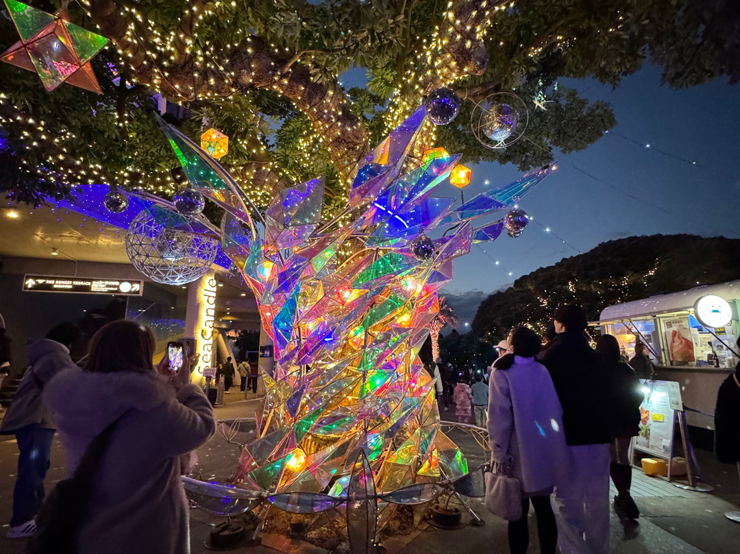 Enoshima Sea Candle-藤泽市必去景点
