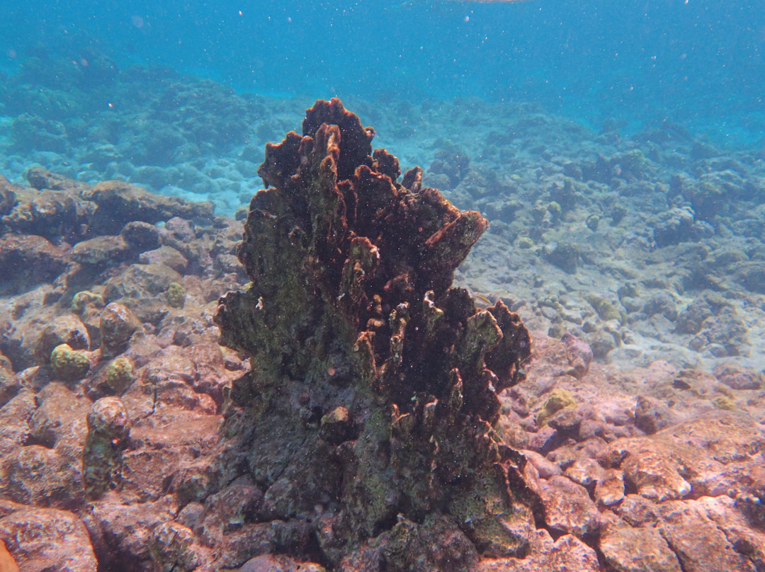 Tranquilo Charter Cruises-奥腊涅斯塔德必去景点