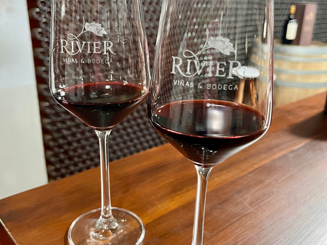 Bodega Jean Rivier-圣拉斐尔必去景点