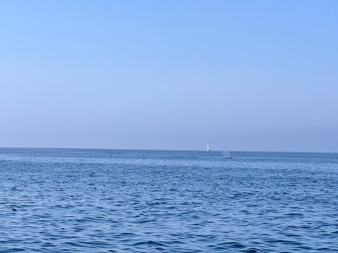 Aloha Trimaran-马萨特兰必去景点