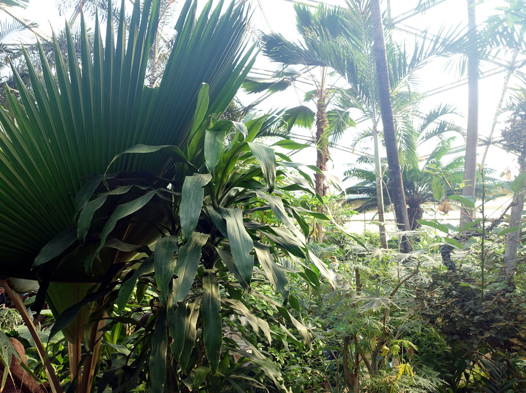 Papiliorama-Kerzers必去景点