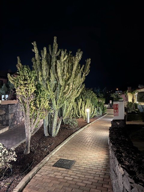 Luz del Mar Hotel-浴室