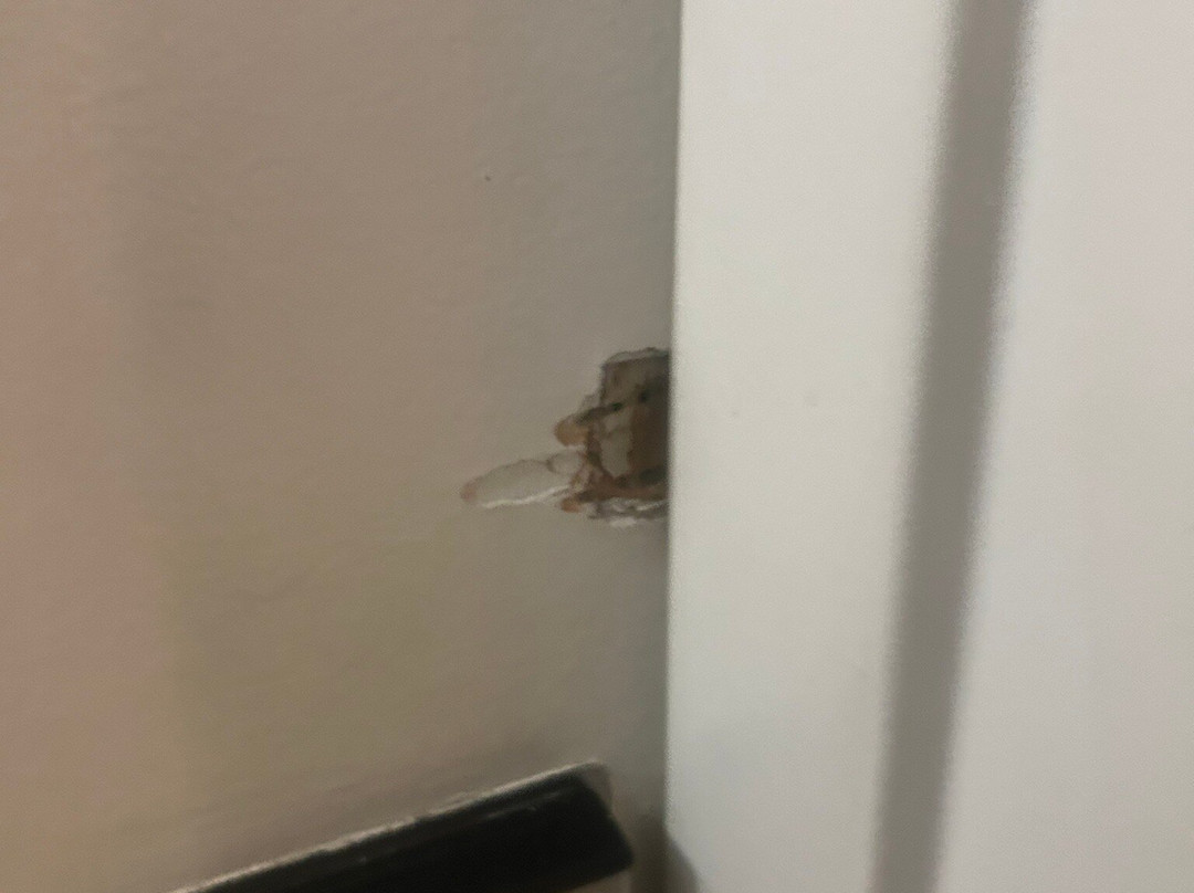 DoubleTree by Hilton Hotel Columbia主图