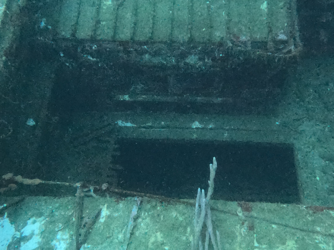 Bocas Dive Center景点图片