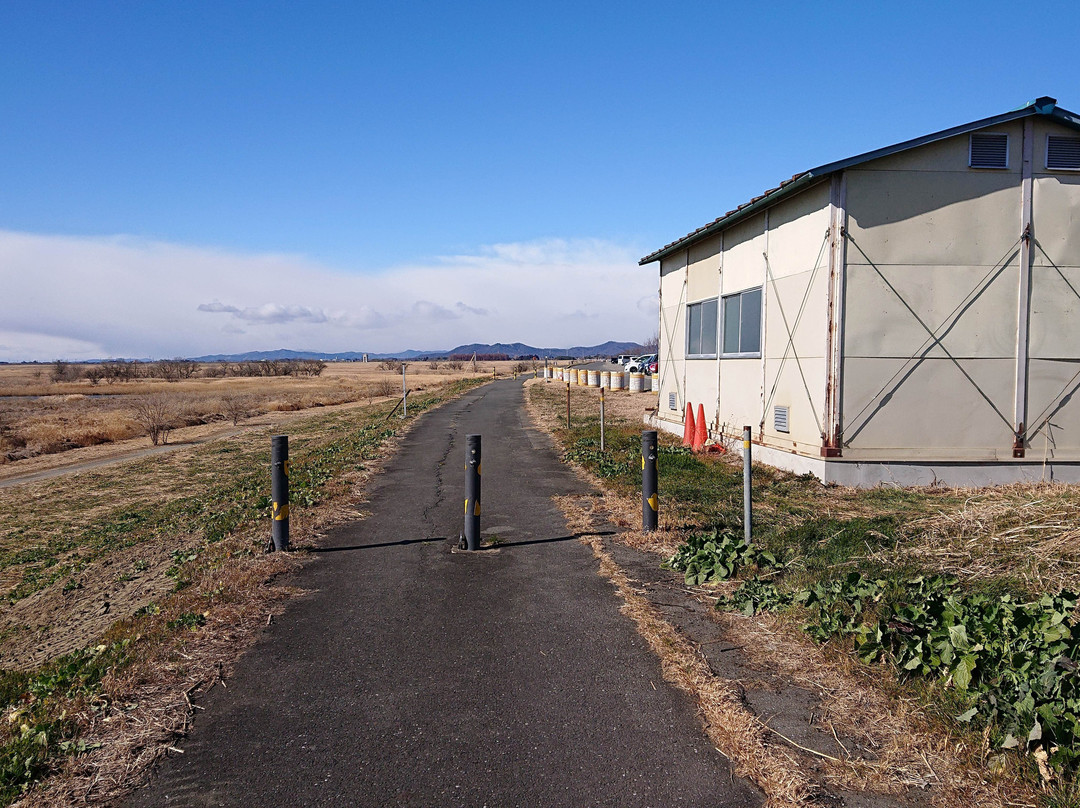 Namaizakurazutsumi-小山市必去景点