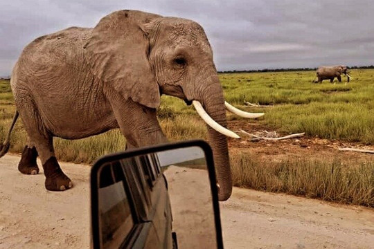 Johari Africa Adventures-迪亚尼必去景点