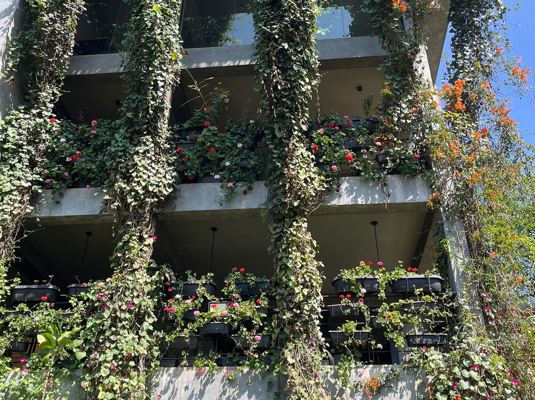 Fernando Tours-希克杜沃必去景点