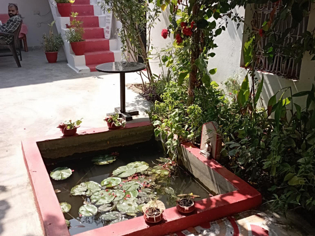 The Highvill Home Stay主图