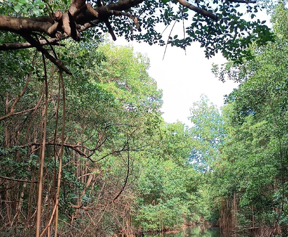 Fabrice - Canal Rotours-Morne-A-l'Eau必去景点