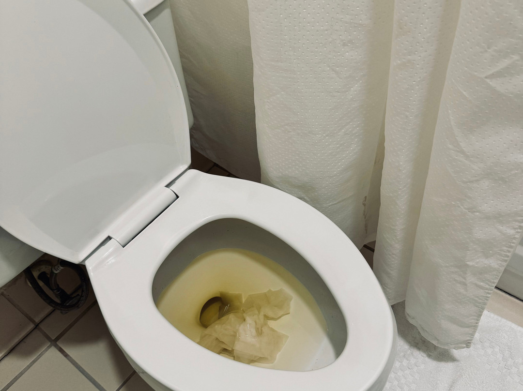 底特律特洛伊麦迪逊高地原住客栈主图