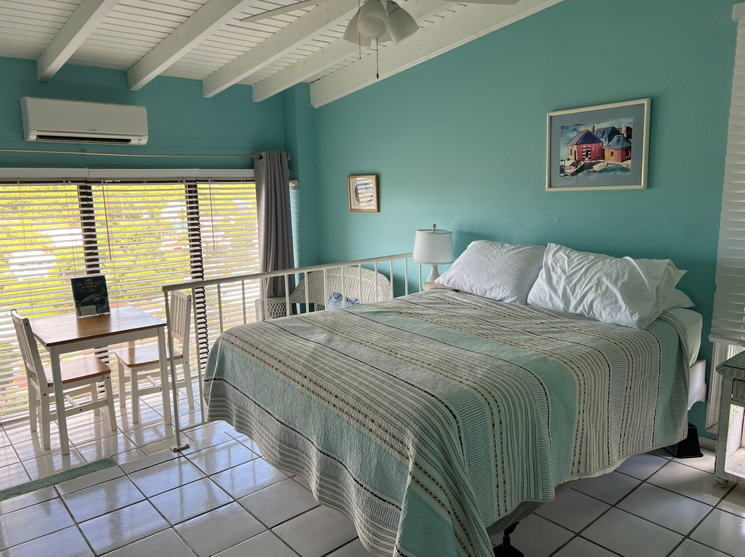 The Green Iguana Hotel主图