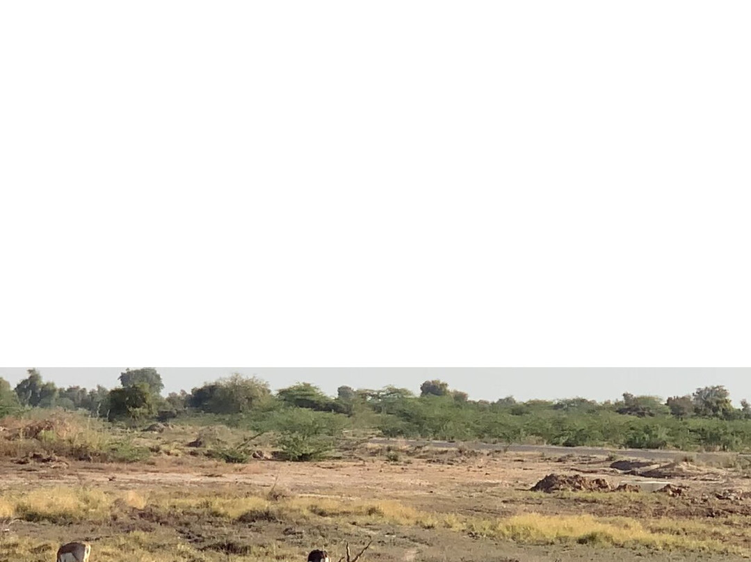 JCR Cab & Car Rental-焦特布尔必去景点